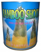 Canned bamboo shoots 3000g